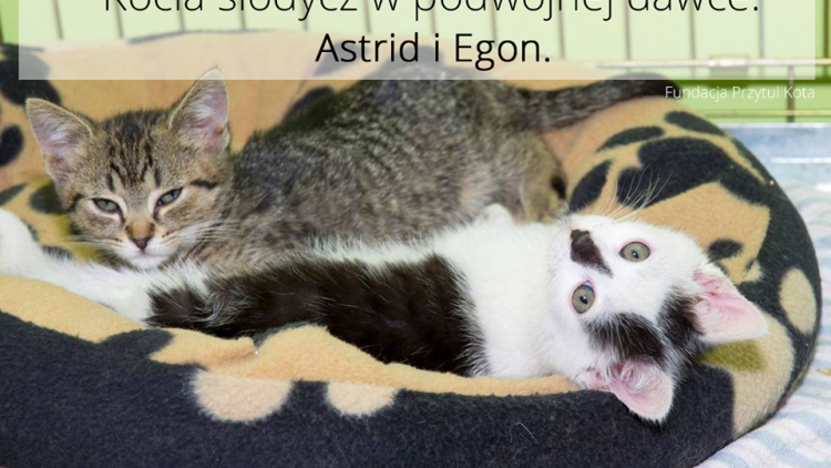 Astrid i Egon