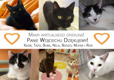 Nowe Wirtualne Adopcje