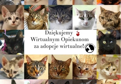 Podziękowania dla Opiekunów Wirtualnych w lipcu