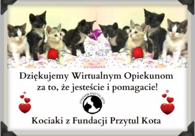 Podziękowania za Wirtualne Adopcje Wrzesień 2018