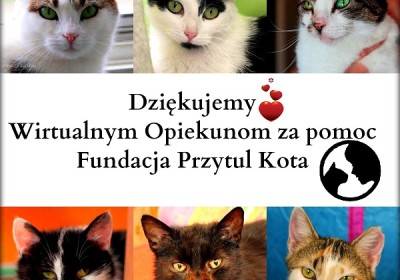 Podziękowanie za Wirtualne Adopcje w Październiku