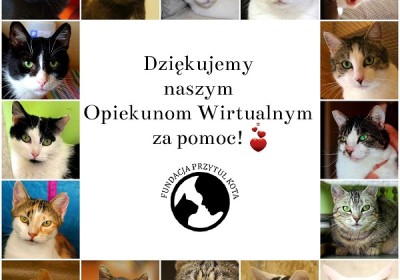 PODZIĘKOWANIA ZA WIRTUALNE ADOPCJE W LISTOPADZIE