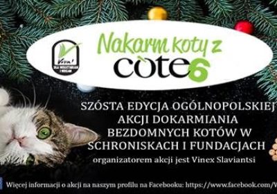 Akcja Nakarm Koty z Cote!