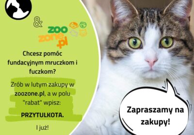 Akcja ZooZone