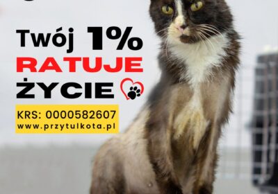 Isia – Twój 1% ratuje życie