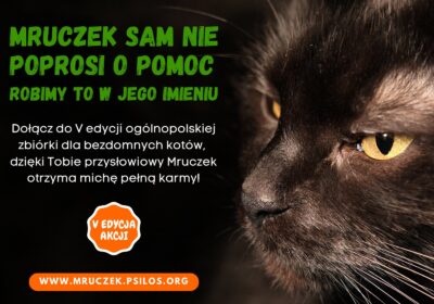 Mruczek sam nie poprosi o pomoc – V edycja