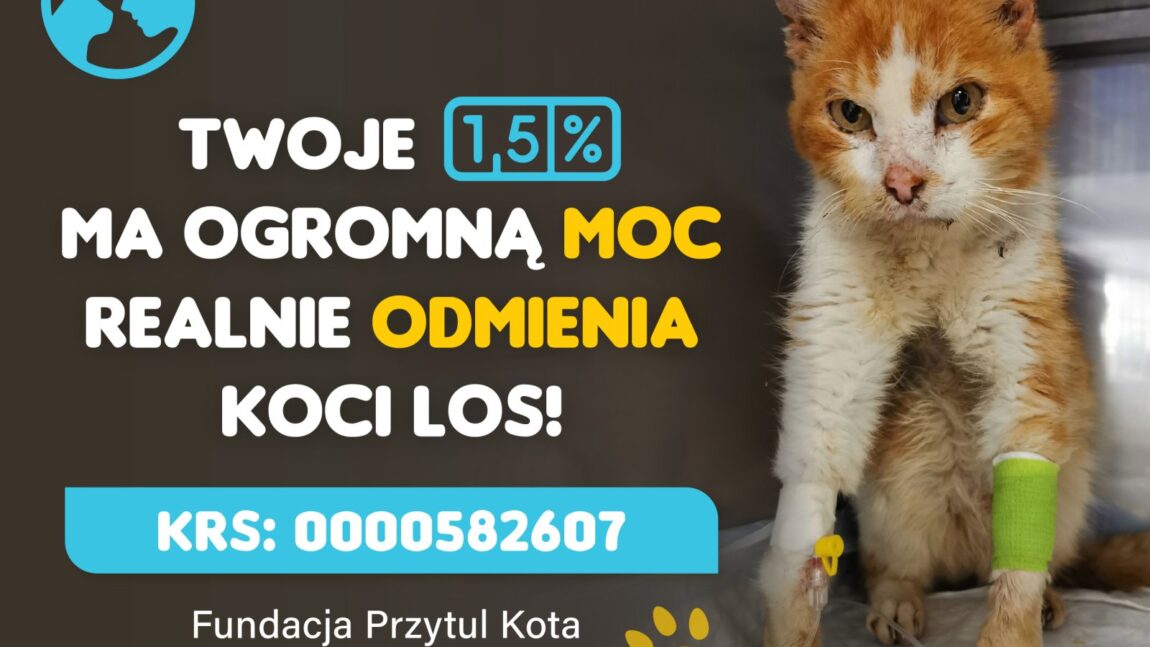 Twoje 1,5% podatku ma OGROMNĄ moc