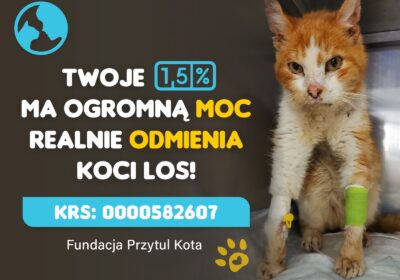 Twoje 1,5% podatku ma OGROMNĄ moc