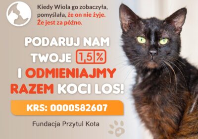 Podaruj kotom Twoje 1,5% i razem odmieniajmy koci los!