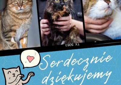 Wirtualne adopcje w drugim półroczu 2022 r.