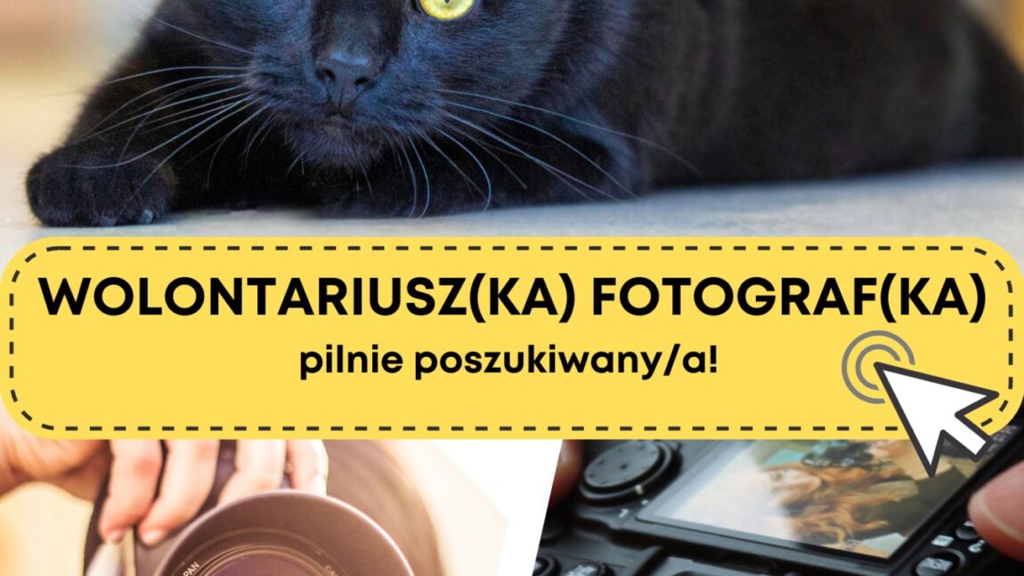 Fotograficzny wolontariusz poszukiwany!