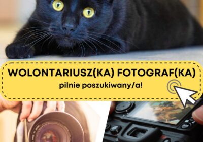 Fotograficzny wolontariusz poszukiwany!