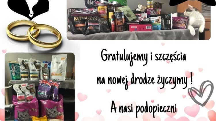 Podziękowania dla Pary Młodej