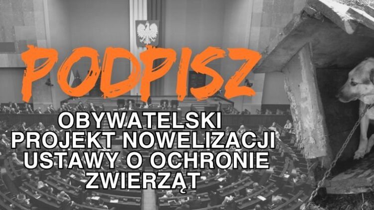 Poprzyj zmianę dla zwierząt!