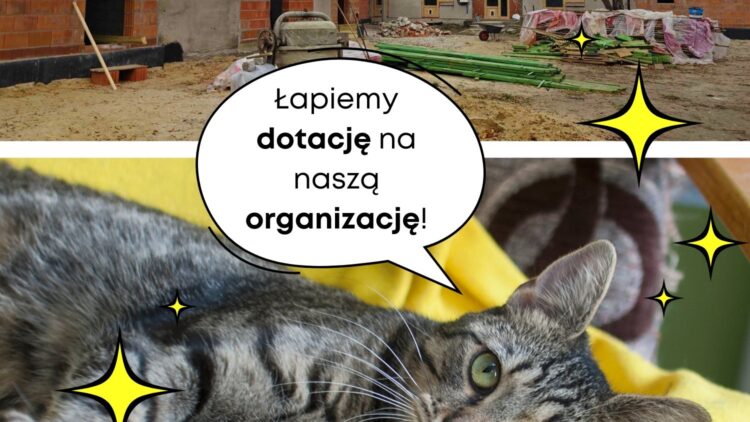 Konkurs „Łap dotacje na organizacje”.