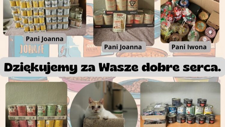 Podziękowania