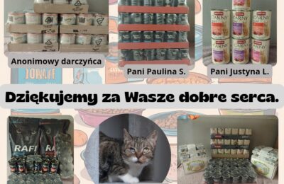 Podziękowania