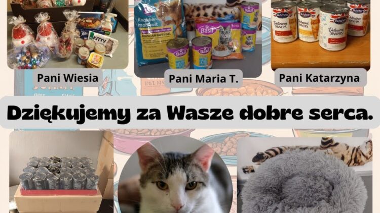 Podziękowania