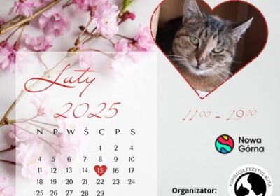 Walentynki – Nowa Górna