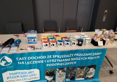 Festiwal Minerałów i Biżuterii – „Skarby Ziemi” Łódź