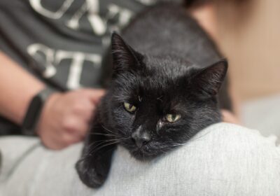 Misior – aktualizacja