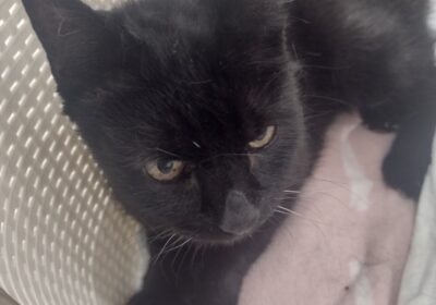 Misior po wizycie u neurologa