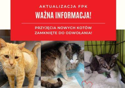AKTUALIZACJA PRZYJĘĆ DO FUNDACJI!