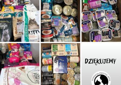 Podziękowania dla Pani Justyny i współpracowników z Wydziału Biologii UŁ