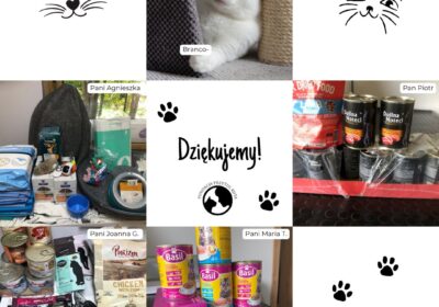 Podziękowania za dary