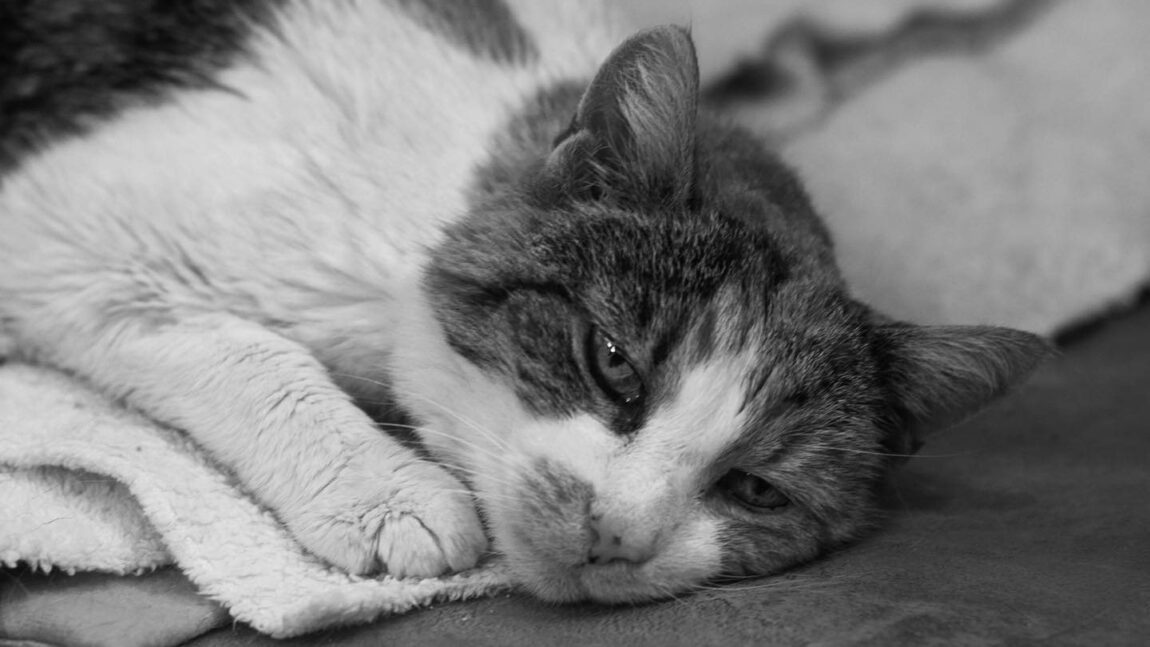 Aleksandra odeszła za TM