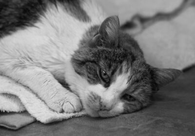 Aleksandra odeszła za TM