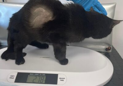 Radek walczy o życie!