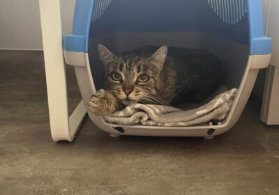 Hera – aktualizacja