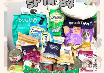 Podziękowania dla SP nr. 84