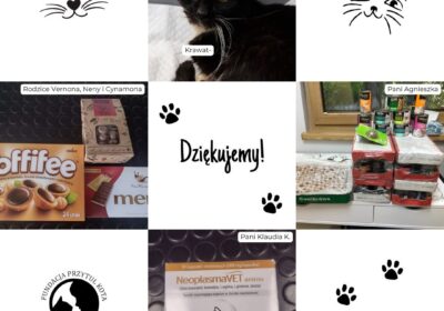 Podziękowania za dary