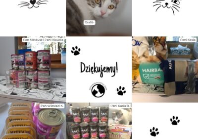 Podziękowania za dary