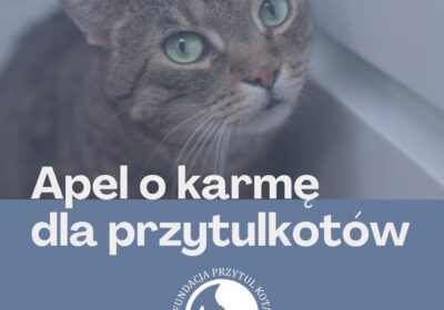 Apel o karmę dla przytulkotów