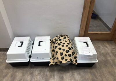 Podopieczni FPK na specjalistycznych badaniach