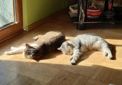 Kler i Grubson pozdrawiają