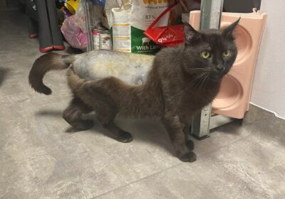 Marvel – aktualizacja