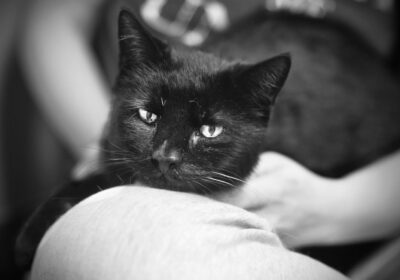 Misior odszedł za TM