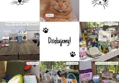 Podziękowania za dary