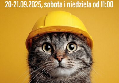 Prace przy Mruczarni 2.0 – potrzebne wsparcie!