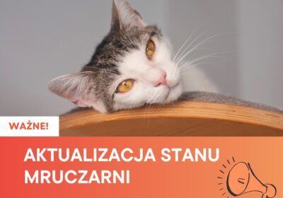 WAŻNE! Aktualna sytuacja w Mruczarni