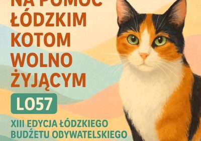 Ruszyła kolejna edycja Łódzkiego Budżetu Obywatelskiego!