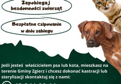 Bezpłatna kastracja, sterylizacja i czipowanie dla zwierząt z Gminy Zgierz!