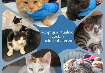 Zostań Wirtualnym Opiekunem