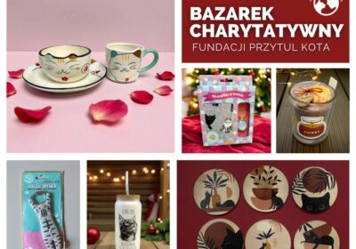 Listopadowy Bazarek Charytatywny