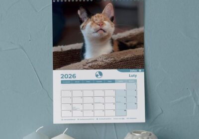 Kalendarze na 2026 już w sprzedarzy!
