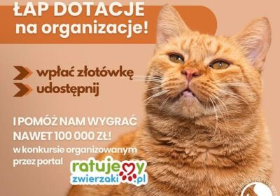 Wystarczy 1 zł! Konkurs „Łap Dotacje Na Organizacje”